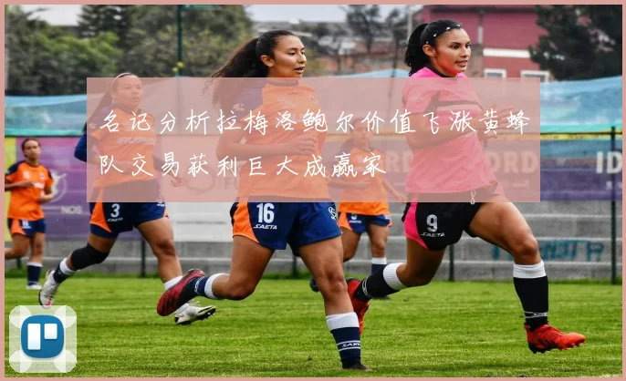 名记分析拉梅洛鲍尔价值飞涨黄蜂队交易获利巨大成赢家